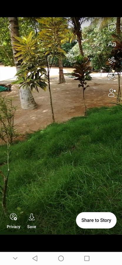 Scorpion Hill Lodge Busua Kültér fotó