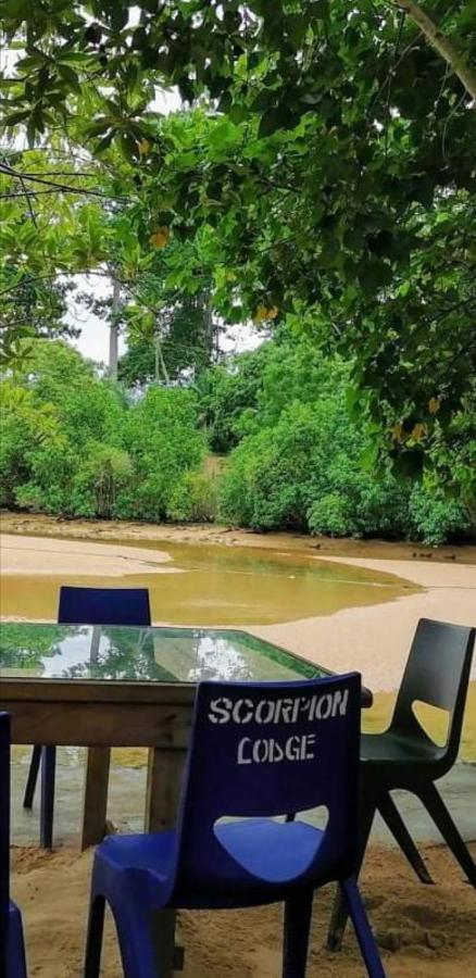 Scorpion Hill Lodge Busua Kültér fotó