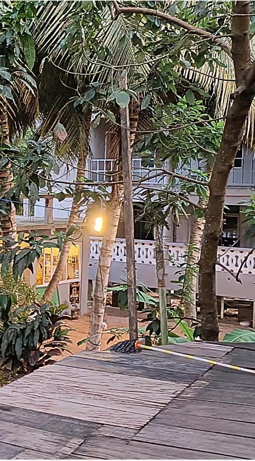 Scorpion Hill Lodge Busua Kültér fotó