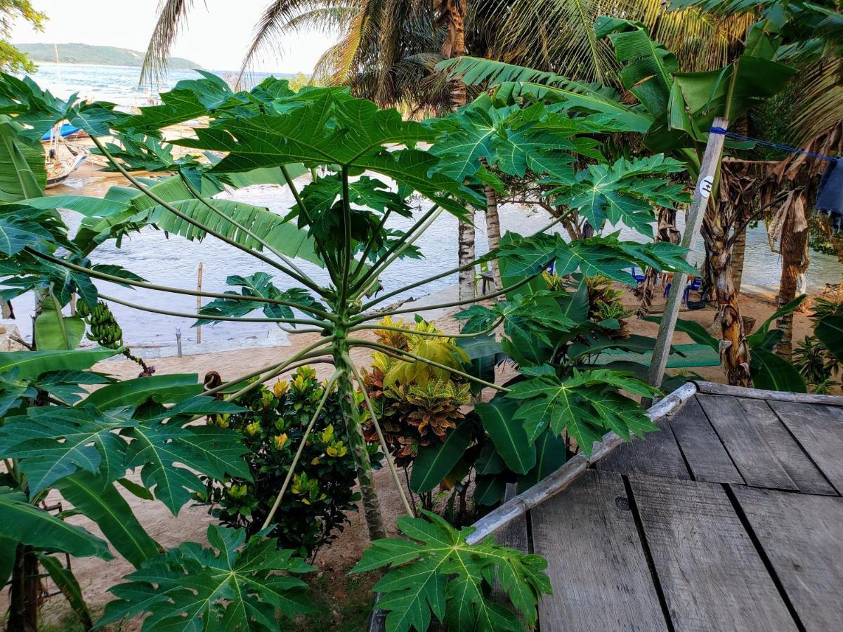 Scorpion Hill Lodge Busua Kültér fotó