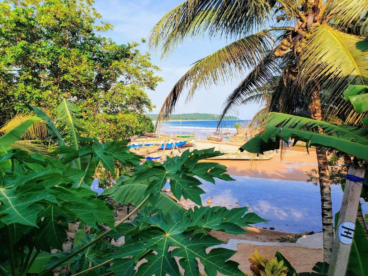 Scorpion Hill Lodge Busua Kültér fotó